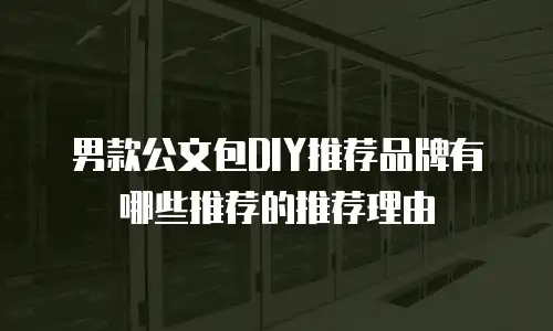 男款公文包DIY推荐品牌有哪些推荐的推荐理由
