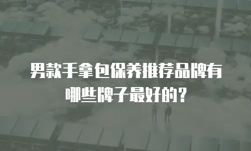 男款手拿包保养推荐品牌有哪些牌子最好的？