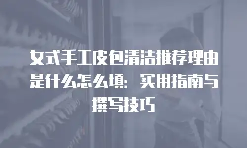 女式手工皮包清洁推荐理由是什么怎么填：实用指南与撰写技巧