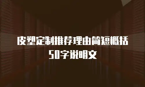 皮塑定制推荐理由简短概括50字说明文