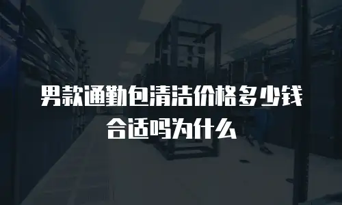 男款通勤包清洁价格多少钱合适吗为什么