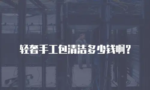 轻奢手工包清洁多少钱啊？