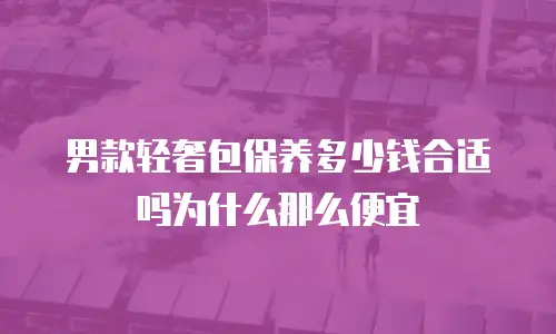 男款轻奢包保养多少钱合适吗为什么那么便宜