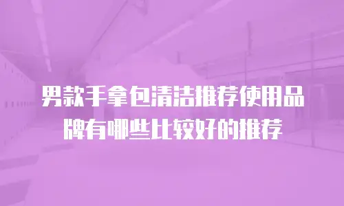 男款手拿包清洁推荐使用品牌有哪些比较好的推荐