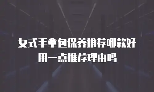 女式手拿包保养推荐哪款好用一点推荐理由吗