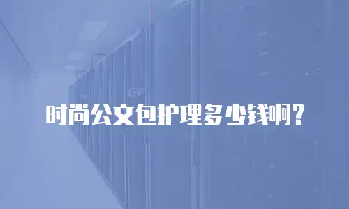 时尚公文包护理多少钱啊？