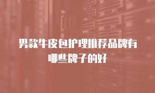 男款牛皮包护理推荐品牌有哪些牌子的好