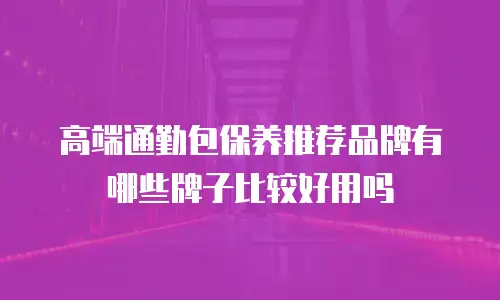 高端通勤包保养推荐品牌有哪些牌子比较好用吗