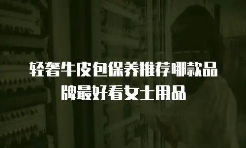 轻奢牛皮包保养推荐哪款品牌最好看女士用品