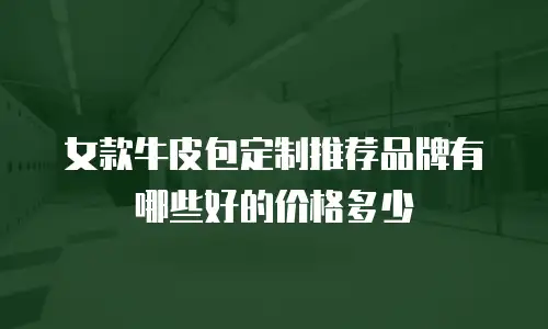 女款牛皮包定制推荐品牌有哪些好的价格多少
