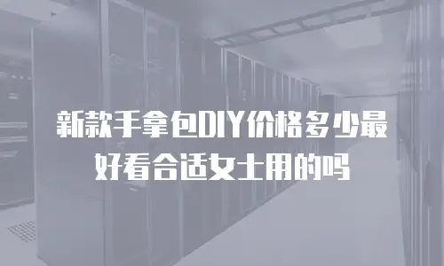 新款手拿包DIY价格多少最好看合适女士用的吗