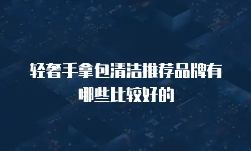 轻奢手拿包清洁推荐品牌有哪些比较好的