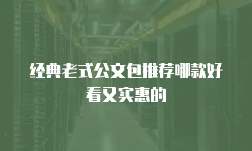 经典老式公文包推荐哪款好看又实惠的