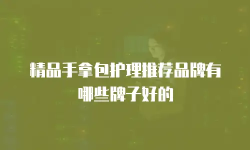 精品手拿包护理推荐品牌有哪些牌子好的