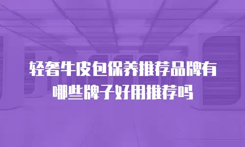轻奢牛皮包保养推荐品牌有哪些牌子好用推荐吗