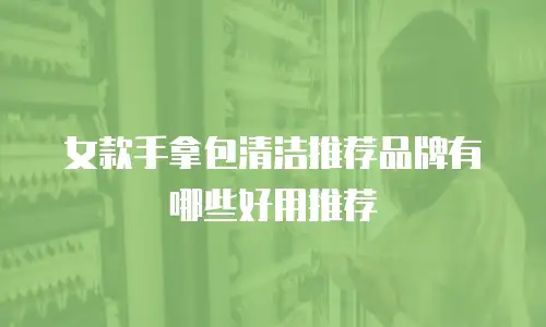 女款手拿包清洁推荐品牌有哪些好用推荐