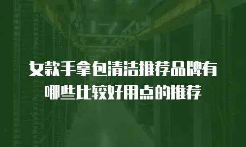 女款手拿包清洁推荐品牌有哪些比较好用点的推荐
