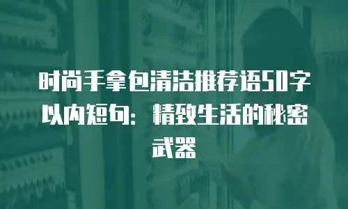 时尚手拿包清洁推荐语50字以内短句：精致生活的秘密武器