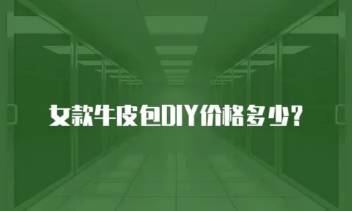 女款牛皮包DIY价格多少？