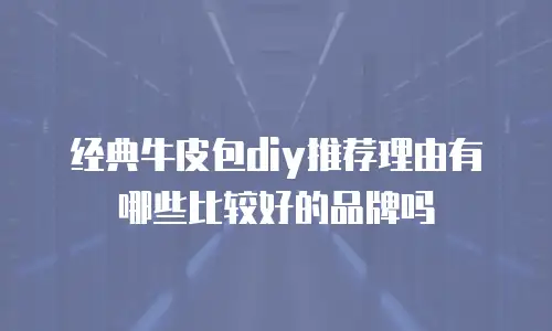 经典牛皮包diy推荐理由有哪些比较好的品牌吗