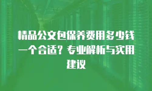 精品公文包保养费用多少钱一个合适？专业解析与实用建议