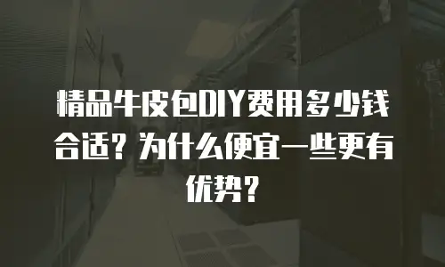 精品牛皮包DIY费用多少钱合适？为什么便宜一些更有优势？