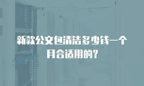 新款公文包清洁多少钱一个月合适用的？