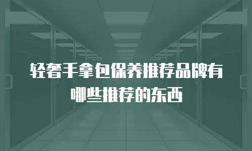 轻奢手拿包保养推荐品牌有哪些推荐的东西