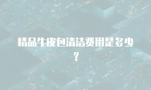 精品牛皮包清洁费用是多少？