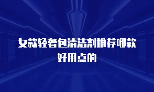 女款轻奢包清洁剂推荐哪款好用点的