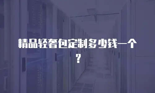 精品轻奢包定制多少钱一个？