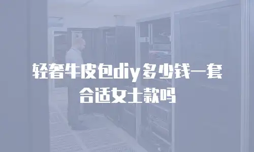 轻奢牛皮包diy多少钱一套合适女士款吗