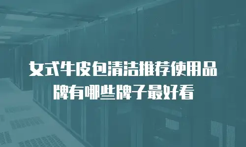 女式牛皮包清洁推荐使用品牌有哪些牌子最好看