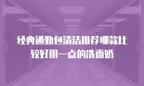 经典通勤包清洁推荐哪款比较好用一点的洗面奶