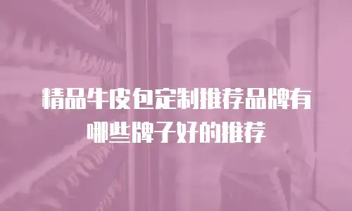 精品牛皮包定制推荐品牌有哪些牌子好的推荐