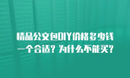 精品公文包DIY价格多少钱一个合适？为什么不能买？