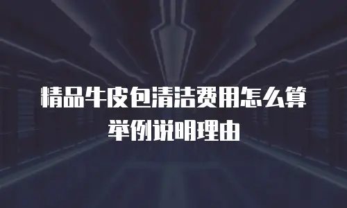 精品牛皮包清洁费用怎么算举例说明理由