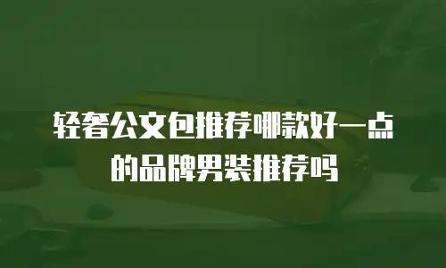 轻奢公文包推荐哪款好一点的品牌男装推荐吗