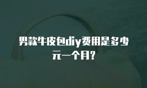 男款牛皮包diy费用是多少元一个月？