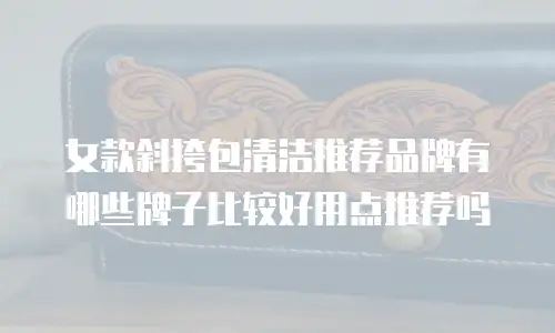 女款斜挎包清洁推荐品牌有哪些牌子比较好用点推荐吗