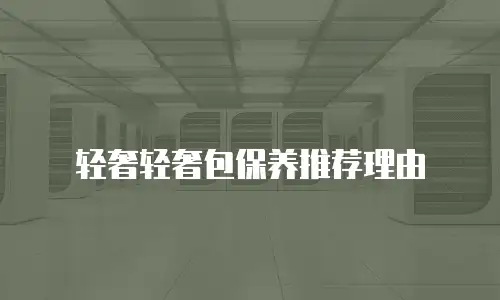 轻奢轻奢包保养推荐理由