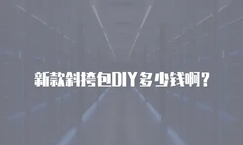 新款斜挎包DIY多少钱啊？