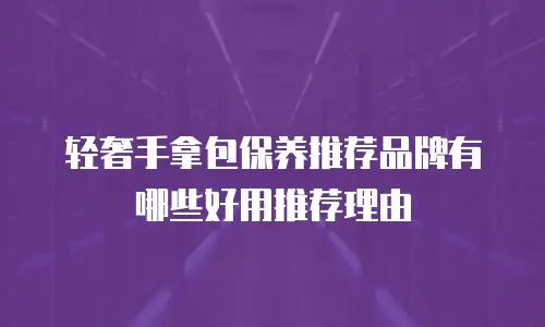 轻奢手拿包保养推荐品牌有哪些好用推荐理由