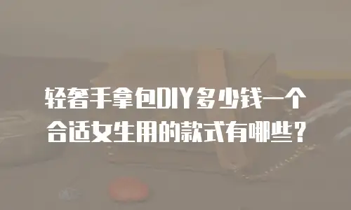 轻奢手拿包DIY多少钱一个合适女生用的款式有哪些？
