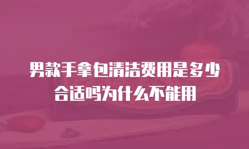 男款手拿包清洁费用是多少合适吗为什么不能用