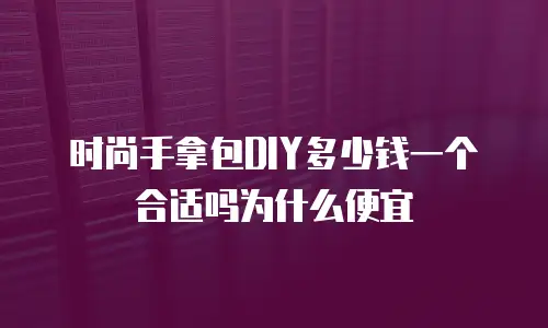 时尚手拿包DIY多少钱一个合适吗为什么便宜