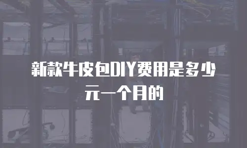 新款牛皮包DIY费用是多少元一个月的