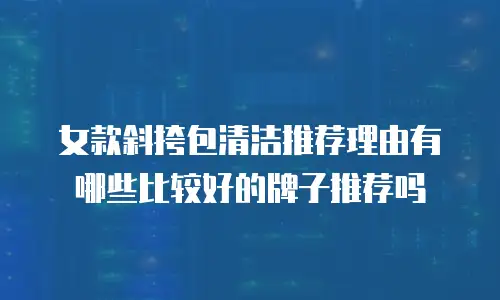女款斜挎包清洁推荐理由有哪些比较好的牌子推荐吗
