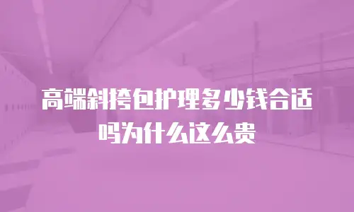 高端斜挎包护理多少钱合适吗为什么这么贵