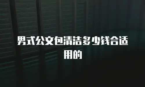 男式公文包清洁多少钱合适用的